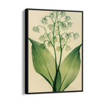 Verdant Valley Bells - Botanical Wall Art