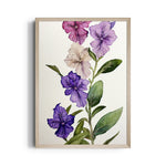 Violet Petunia Garden - Botanical Wall Art - Pillow Fights