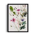 Wildflower Botanical Study - Botanical Wall Art