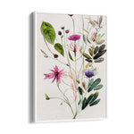 Wildflower Botanical Study - Botanical Wall Art