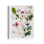 Wildflower Botanical Study - Botanical Wall Art