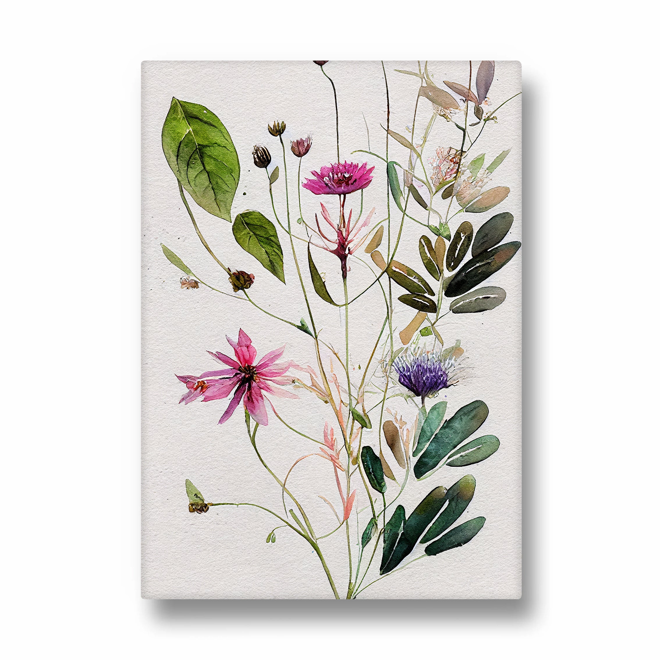 Wildflower Botanical Study - Botanical Wall Art